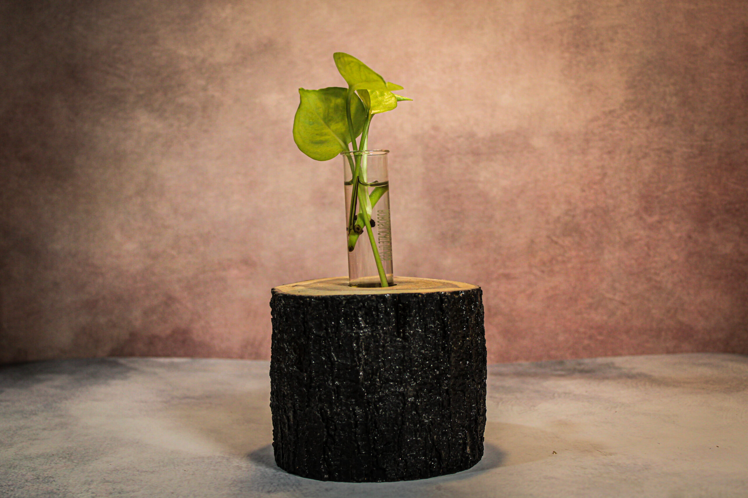 Wooden Log Tube Planter – Rustic Tabletop Vase
